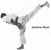 Ushiro Geri