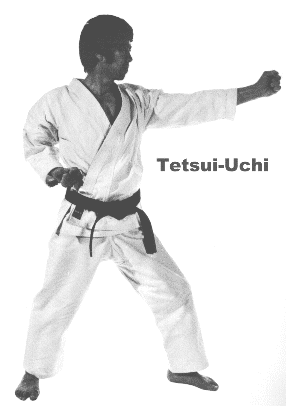 Tetsui Uchi