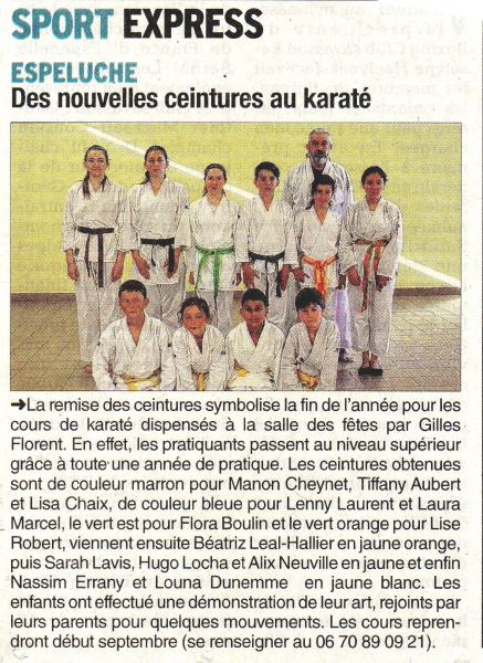 Article dauphine libere